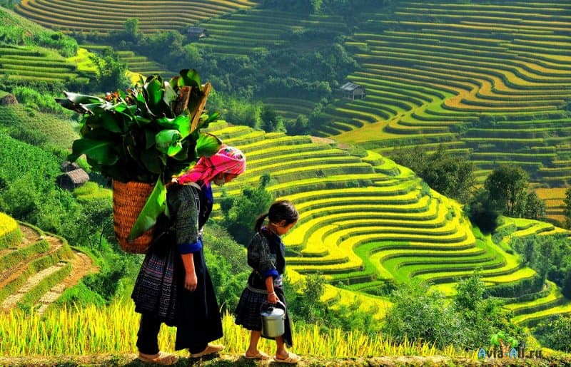 Туры во Вьетнам: климат, экскурсии, путевки4