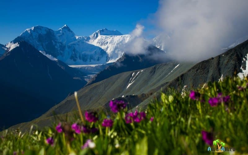 Гора Белуха, Алтай: подробное описание экскурсионного тура33