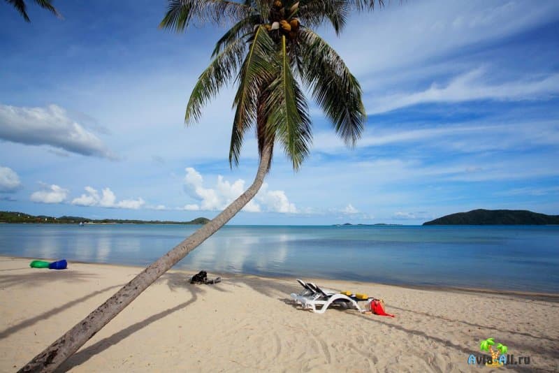 Уединенный отдых на пляже Талинг Нгам, Самуи. Когда лучше поехать? Где поселиться?4
