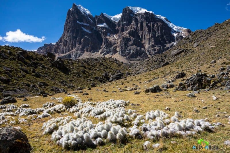 Анды: подробный обзор гор. География, природа, климат, население3