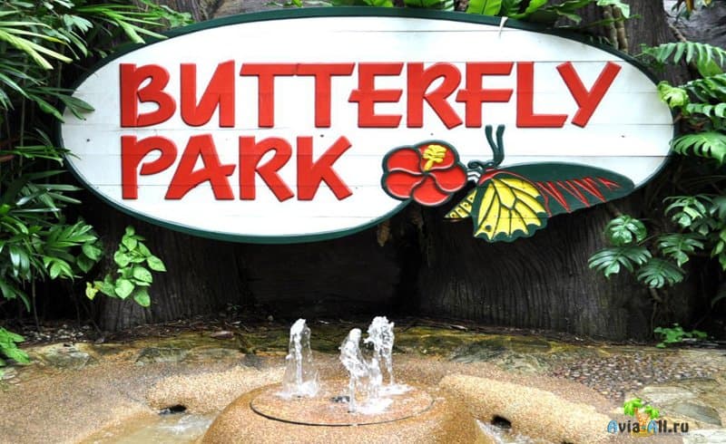 Парк бабочек на острове Сентоза