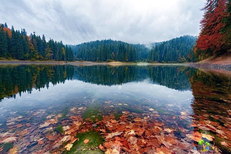 Синевир - большое озеро Украины. Легенда, описание, природа, фото4