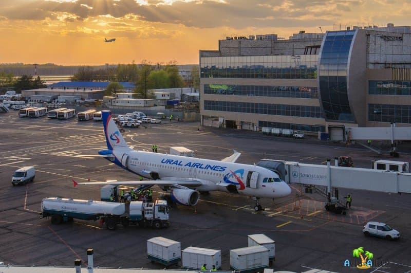 Домодедово и Уральские авиалинии: отзыв туриста. Преимущества2