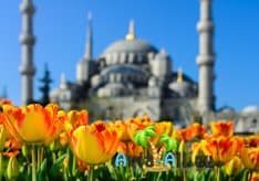 Стамбул, Турция - Фестиваль тюльпанов. Описание, традиции, фото1