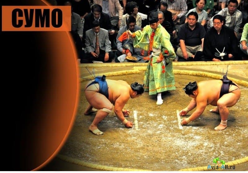 японская борьба сумо