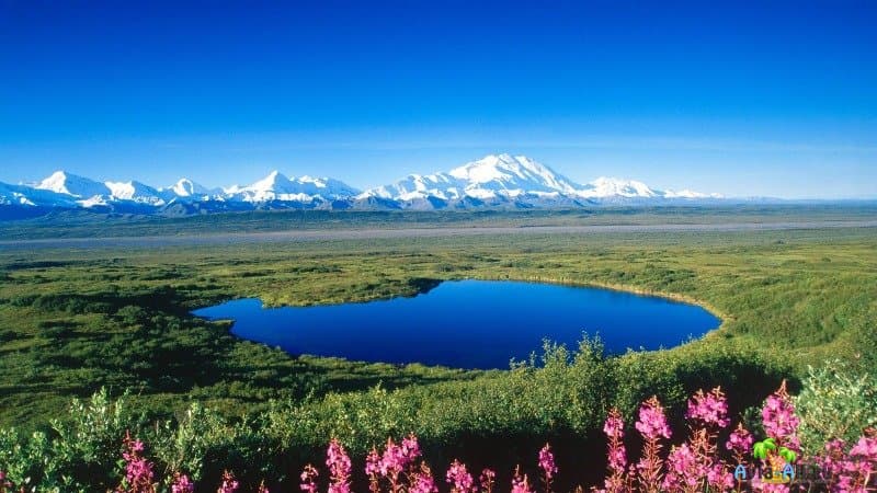Шикарные пейзажи Аляски