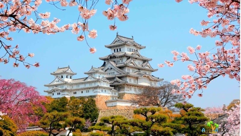 Япония для туристов - как вести себя в Японии туристу
