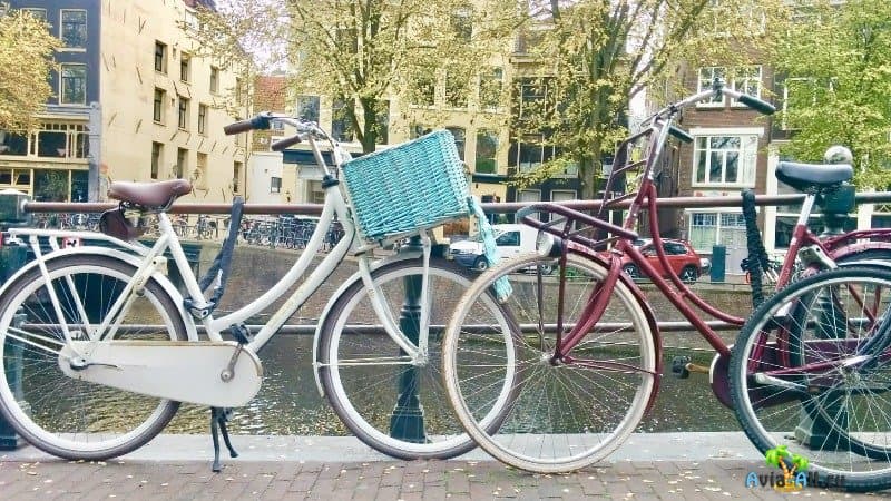 Аренда велосипеда в Амстердаме