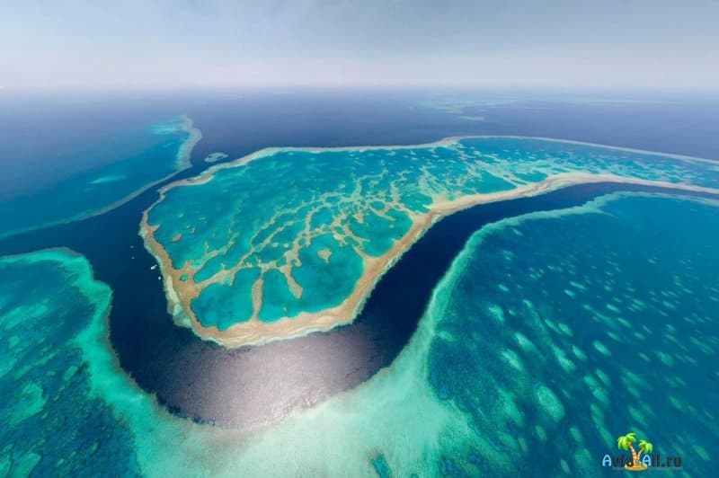 Большой Барьерный риф - особенности активного отдыха. Развлечения4