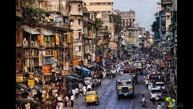 Калькутта: величественный и бедный город Индии. Чайные традиции2