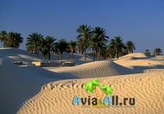 Тунис - обзор популярных курортов. Климат, экскурсия, пляжи1