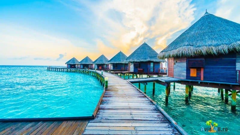 Где лучше отдыхать на Мальдивах