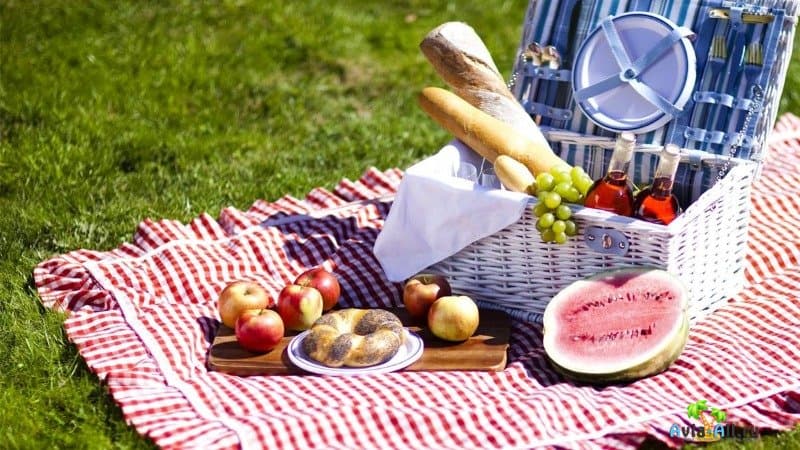 Организованный пикник - приготовления, блюда для пикника