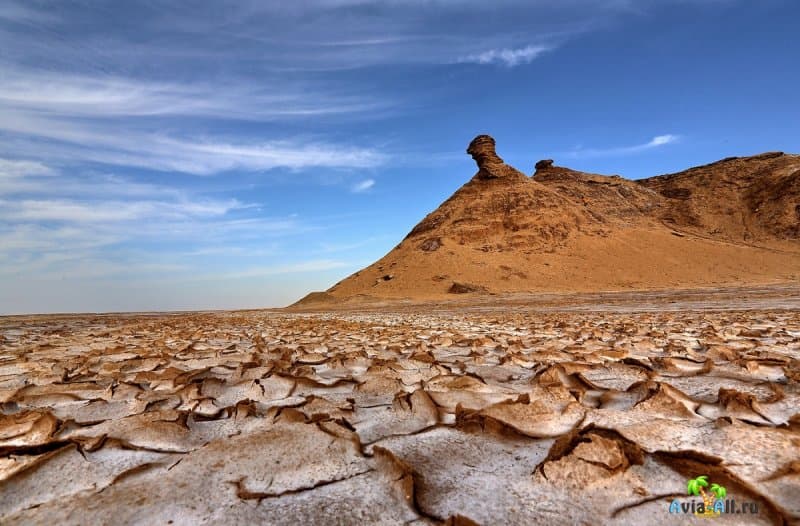 Сахара - путеводитель по большой пустыне планеты. Рекомендации4