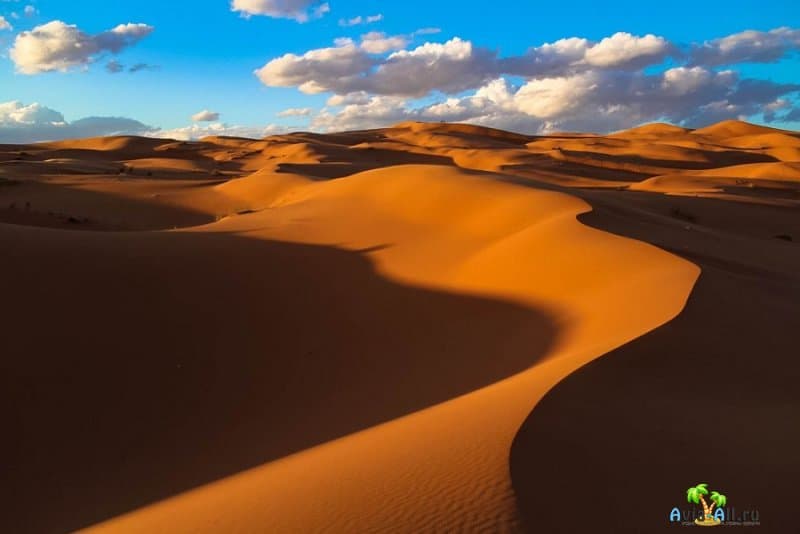 Сахара - путеводитель по большой пустыне планеты. Рекомендации2