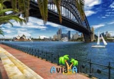 Сидней - город-курорт Австралии. Что посмотреть? Пляжный отдых1