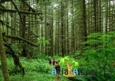 Экотуризм - перечень организаций, поддерживающие зеленый туризм1
