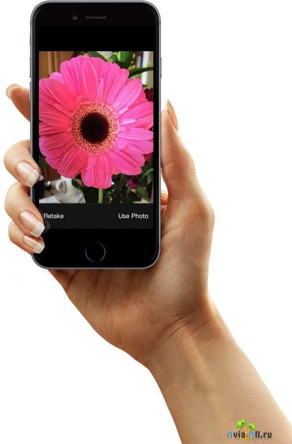 Declic Botany - обзор мобильного приложения. Инструкция для туриста2