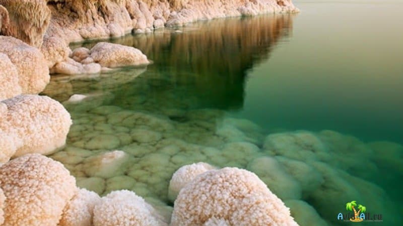 Отдых на Мертвом море, фото