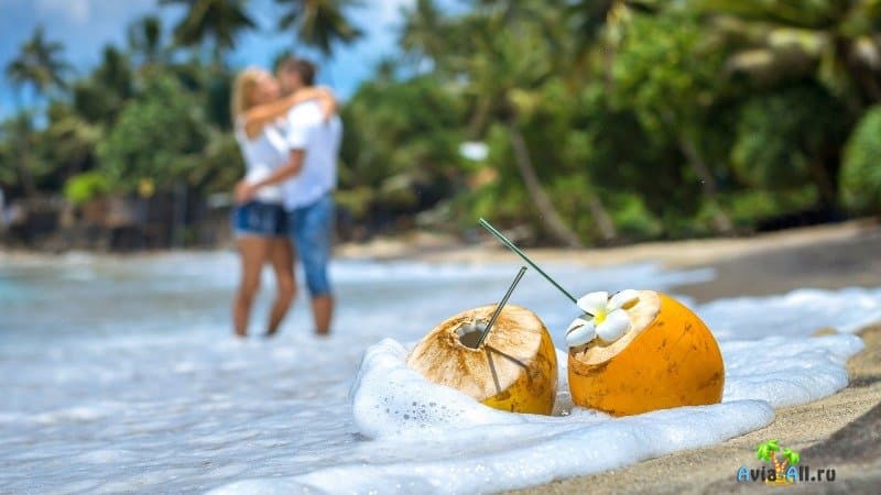 Пляжный отдых на Шри-Ланке