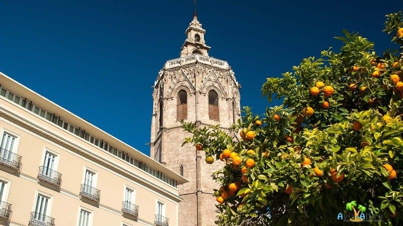 Башня Мигелете Валенсия