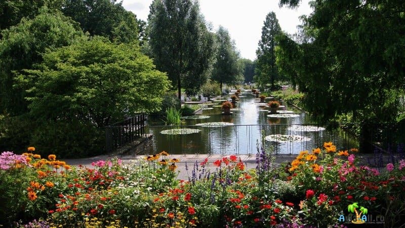Гамбург Ботанический сад Плантен