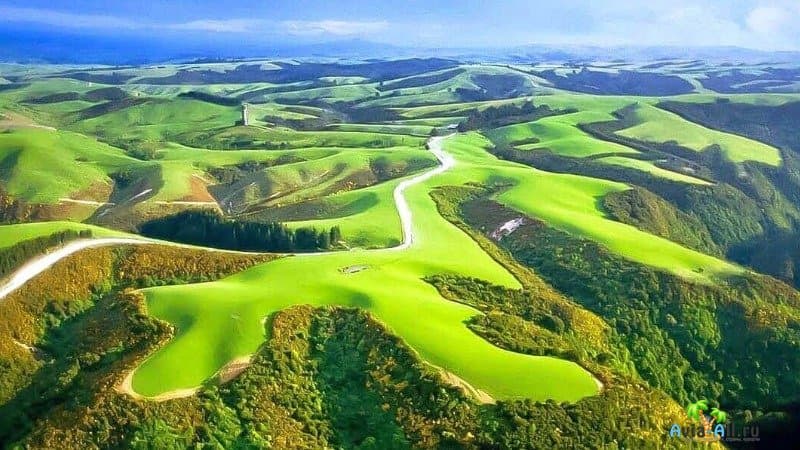 Фото природы Новой Зеландии