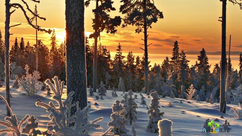 Лапландия фото зимой