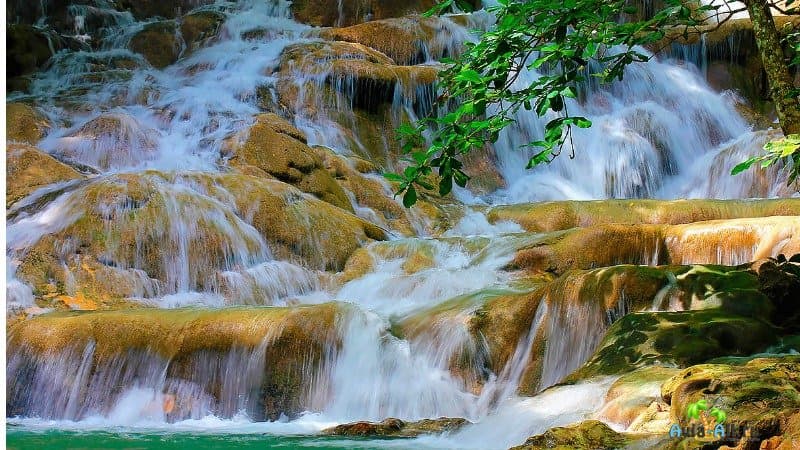 Водопады Даннс-Ривер Ямайка