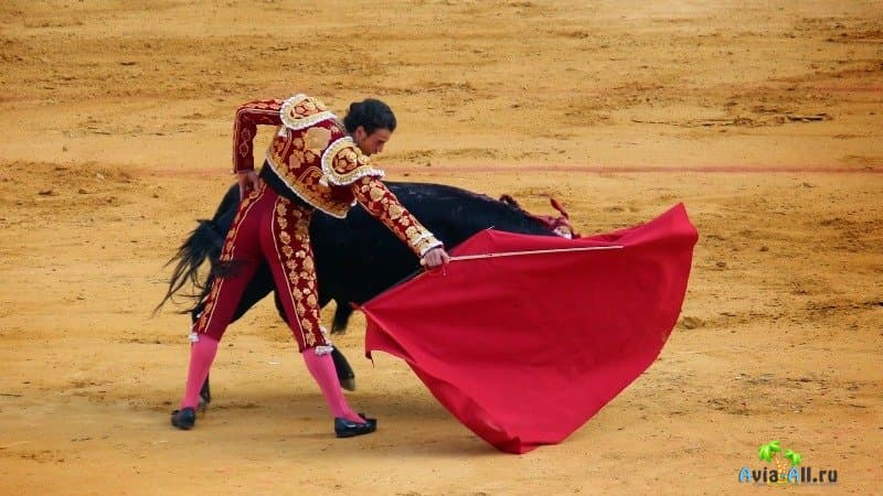 Испания коррида бой Быков