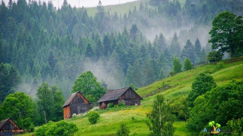 Карпаты Украина фото
