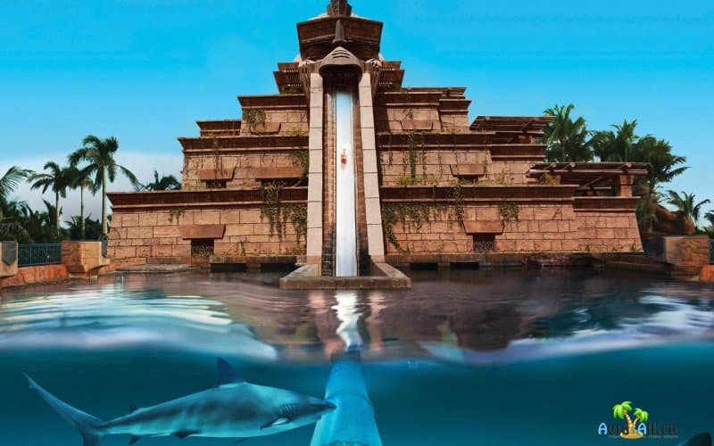 Aquaventure Waterpark - лучший аквапарк ОАЭ. Горки, аттракционы4