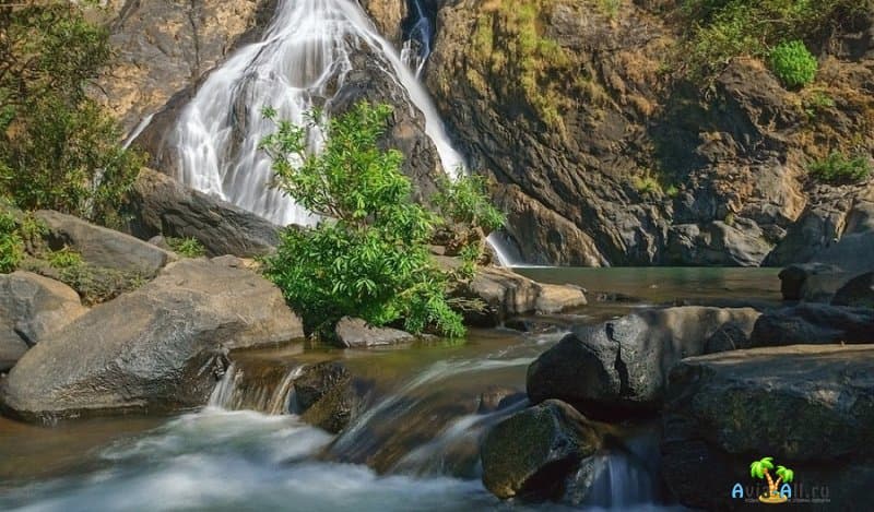 Легенды о водопаде Индии - Дудхсагар. Обитатели заповедного парка2