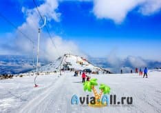 Отдых в Болгарии зимой. Купить горнолыжный тур. Обзор курортов1