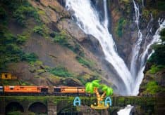 Легенды о водопаде Индии - Дудхсагар. Обитатели заповедного парка1