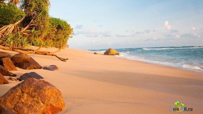 Остров Шри-Ланка фото