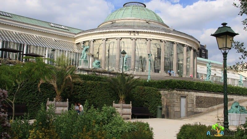 Ботанический сад Брюсселя здание
