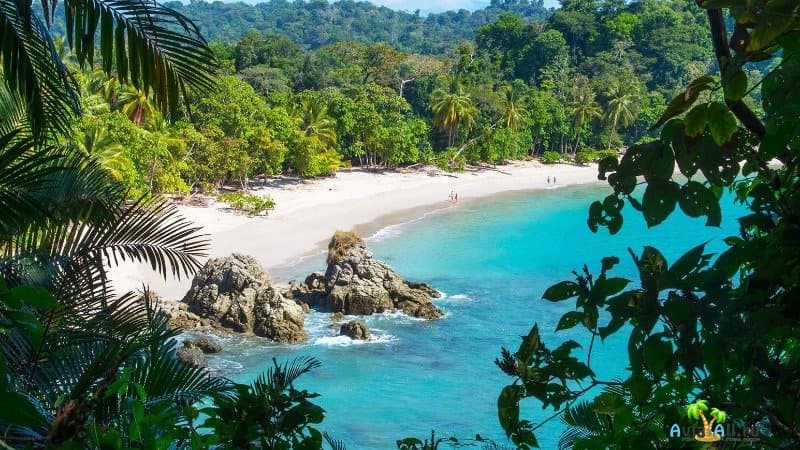 Страна Коста-Рика фото