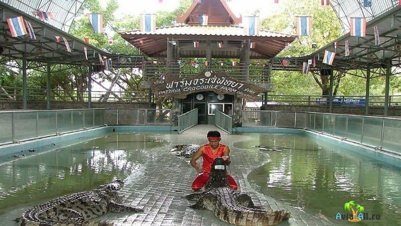 Крокодиловая ферма Паттайя
