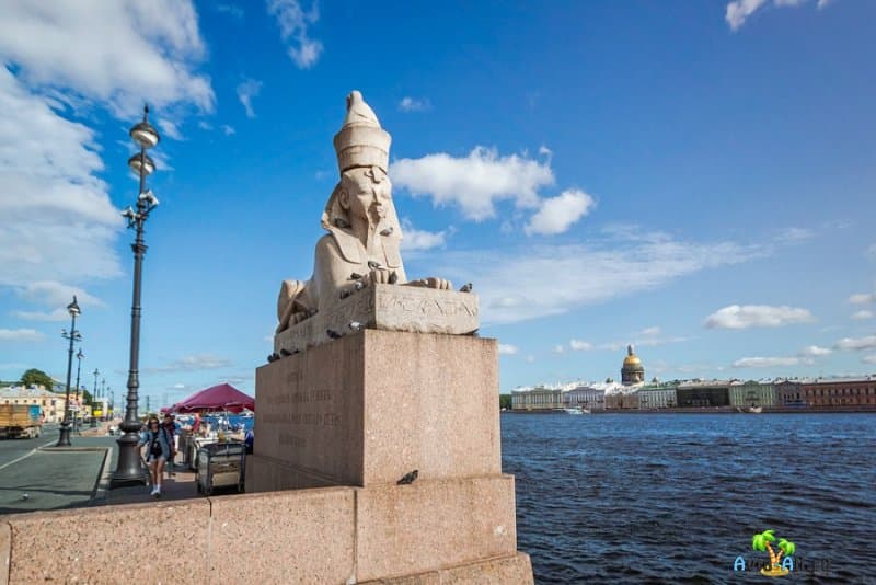 Историческое значение сфинксов в Санкт-Петербурге. Загадочные Древнеегипетские скульптуры4