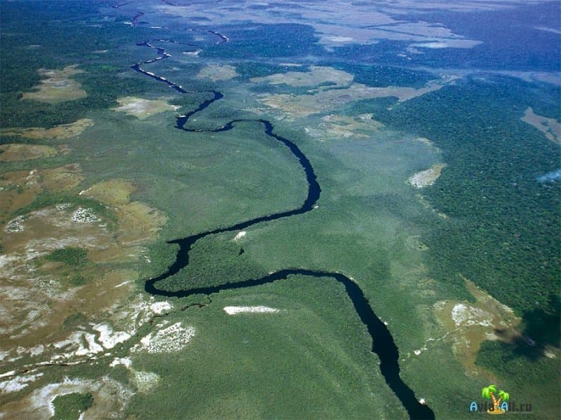 Самая крупная речная система мира - Ориноко. Обзор большой Американской реки4