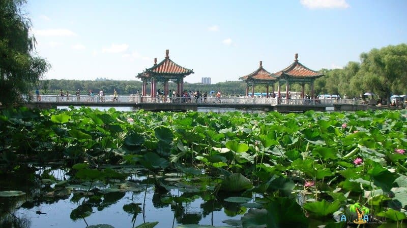 Парк в городе Чанчунь