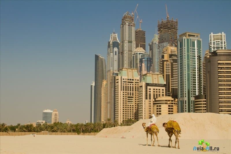 Путешествие в Объединенные Арабские Эмираты. Чем заняться туристу?4
