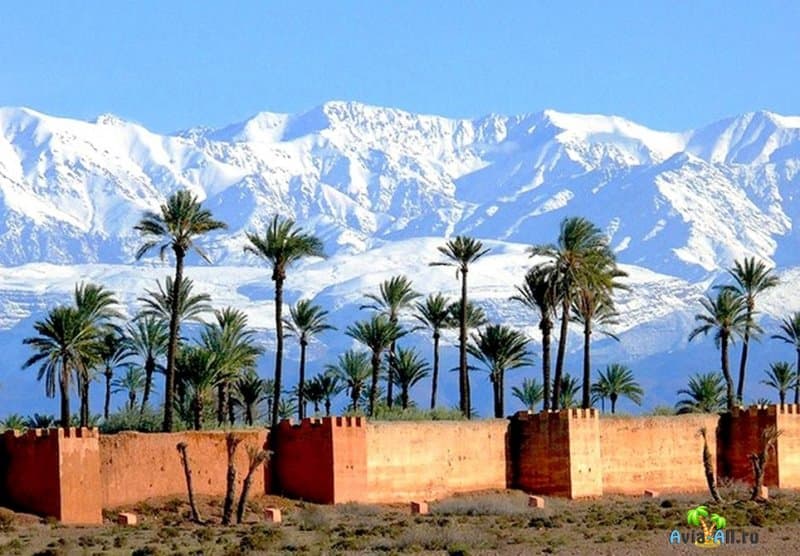Зимой в Марокко