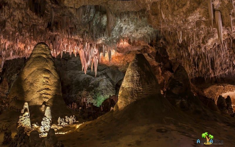 Поездка и обзор Карлсбадских Пещер. Популярный природный парк в США3