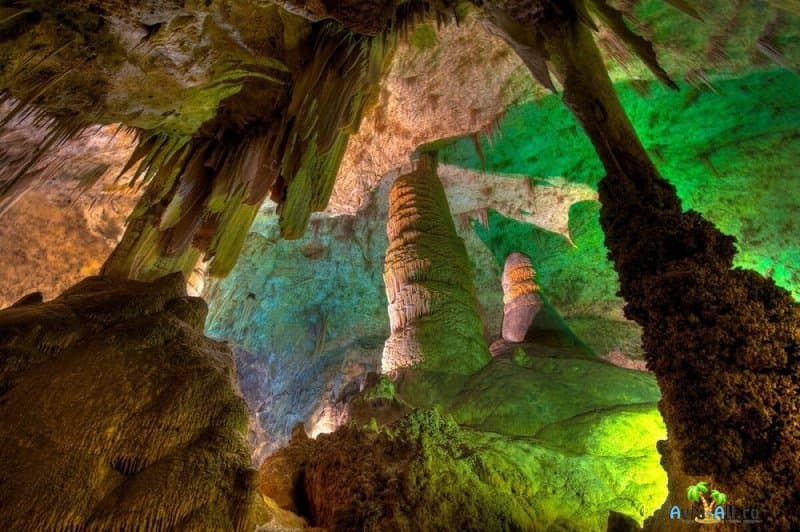 Поездка и обзор Карлсбадских Пещер. Популярный природный парк в США2