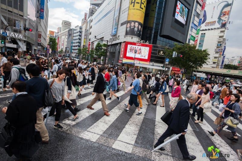 Плотность и состав населения Японии. Менталитет и воспитание местных жителей3