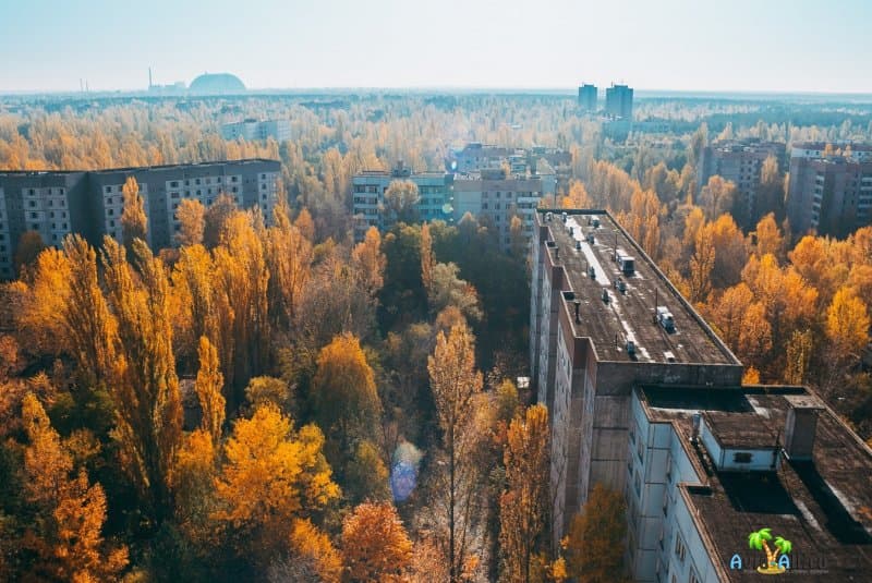 Опасно ли покупать тур в Чернобыль? Официальные и нелегальные экскурсии по Припяти3