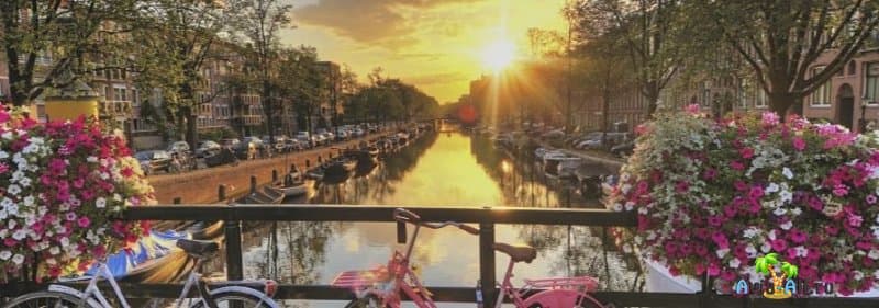 Идеи отдыха в Амстердаме