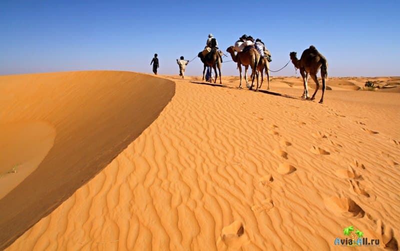 Путешествие в Мавританию. Арабское государство с африканским укладом жизни4